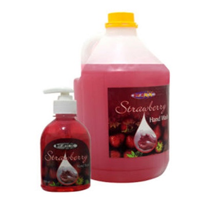 4L Bottle of Maxx Strawberry Liquid Hand Wash and Free 260ml Dispenser Bottle logo
